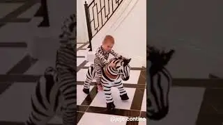 Zebra coming : PonyCycle