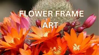 Soft Flower Frame Art | 2 Hours Wall TV D&eacute;cor | Calm Home Ambience | 4K