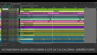VS FAMOSINHA QUERO DESCOBRIR A COR DA TUA CALCINHA  VERSÃO FORRÓ