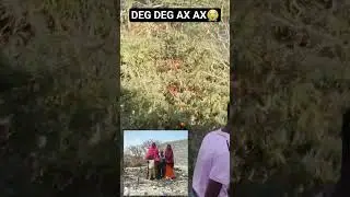 WAR DEG DEG AH O NAXDIN LEH