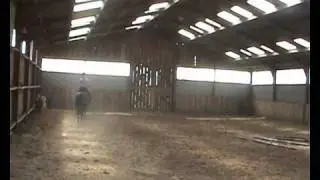 saddle cruiser fit Wendy
