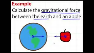 Explain Newtons Law of Gravity
