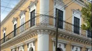 Pulpo de Mazatl&aacute;n est&aacute; en vivo