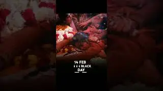 14 February Status 2021 | Black Day Status | Pulwama Attack Status 2021 | Velentine Day Status |Love