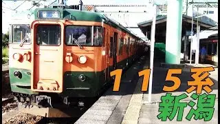 （１５７）新潟の１１５を乗り回す旅２【２度目の最長往復切符の旅 第１６１日】《柏崎駅→新津駅》
