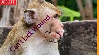 So Hurt to Clean Her Wound ... Janna Injured on Her Face Hard Heal Herself
