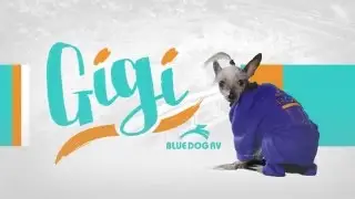 Blue Dog RV