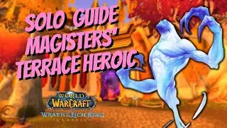 Magisters' Terrace Heroic Solo Guide lvl 80 Ret Paladin - Gold, Void Crystal, Mont Farm