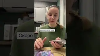 17 ноября 2025 г.