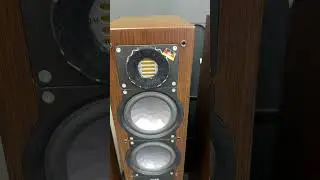 Cặp đ&ocirc;i elac 247 sapphire edition loa Đức sịn | Loa b&atilde;i ch&acirc;u &acirc;u #music #amplybainhat #loabaigiare