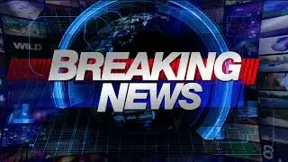 Top Online Newspaper in Bangladesh | Live News Updates- Amar News 24