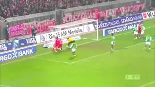 Robben Vine