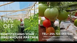 You Won&rsquo;t Believe These Greenhouse Prices in Kenya &ndash; Build Your Budget-Friendly Farm Today!  2025