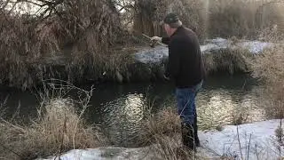 Winter White Bass
