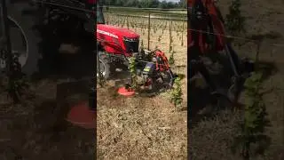 Inter-Row Rotary Cultivator IT 15 For Orchards & Vineyards || #weeding #cultivator #shorts