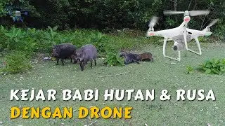 Video Drone : Kejar 