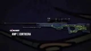 AWP Кортисейра скин CS:GO