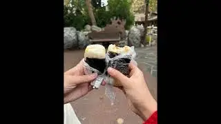디즈니랜드 여행 #Disneyland #road trip #디즈니랜드 #여행 #브이로그 #미국 #미국 여행 #Anaheim #Vlog ￼￼
