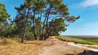 Balade les quinconces-St Brice (Andernos-Ares)