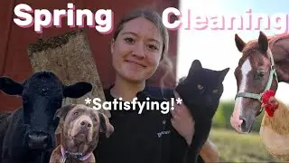 Spring Cleaning on a Small Farm!