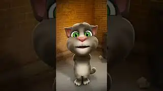 Talking tom cat singing song 😂😂