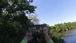 Long Island Freshwater Fishing #1