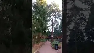 Walk on Disney Sequoia Lodge Hotel #hotel #themepark #vacation #disney #dlp #disneyland