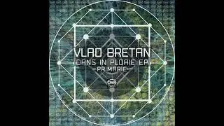 Vlad Bretan - Dans Dans (Primarie Remix) // TZH137