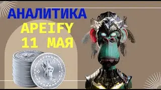 Аналитика #1 Apeify 11 мая
