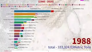 Top 15 wheat producing countries 1960 - 2020 || Largest wheat producer country in the world