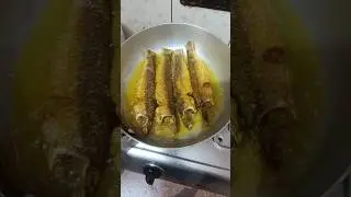 fish fry shorts | Family kitchen 77 | #fishfry #food #shorts new recipe shorts
