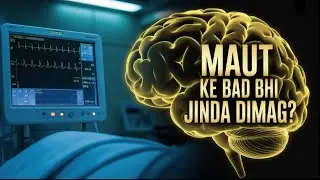 मरने के बाद भी दिमाग ज़िंदा रहता है?! | Real Science Mystery | Science Chakkar #BrainMystery