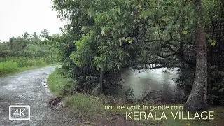 Rain day walk in green lush village in Kerala | Relaxing Binaural Rain Sounds for sleep | ASMR