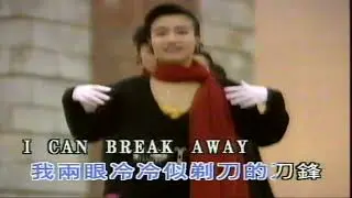 暴風一族（音樂）張國榮