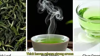 What Is Laoshan Green Tea? A Mountain-and-Sea Green Tea from China