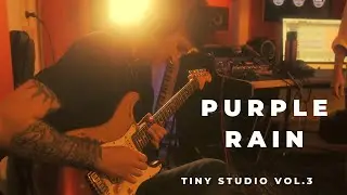 Purple Rain | Prince | Tiny Studio Vol. 3