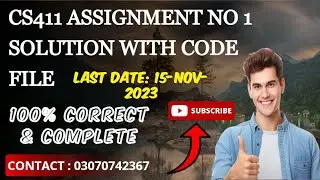 Cs411 assignment No.1  Fall 2023  complete solution with code file by Waseem Raza