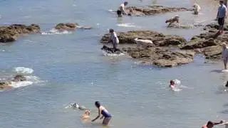 Playa para perros Gijon