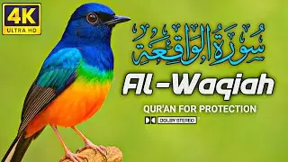 Surah Al-Waqiah for Unlimited Wealth & Success | Remove Poverty | Zain Abu Kautsar