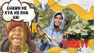 हम लोगों का ghanw में नहीं मिलता है 🤡#edit #anjanimatamandirlivedarshansalasar #viral 