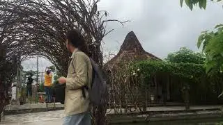 Farm Management - Dragon Fruit