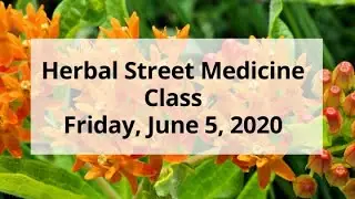 Herbal Street Medicine, Video #1- June 5, 2020