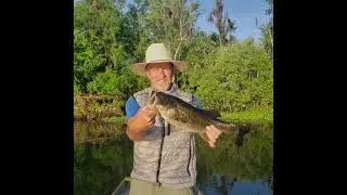 Bass fishing - Highland Park fish camp