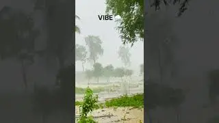 Monsoon days in valsad #shorts #shortsfeed #beautiful #nature