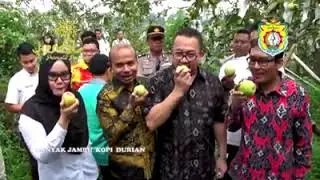 Kendal Handal