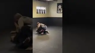 Heisman to Boltlock Clinch to Sacrifice Throw to Entangled Arm to Ashi Choke&hellip;