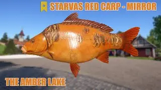 Russian Fishing 4 - The Amber Lake, Trophy Starvas Red Carp - Mirror