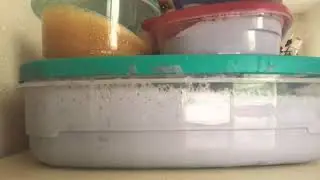 Is Slime overrated??