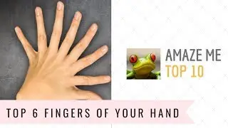Top 6 Fingers of Your Hand