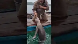 Успокойся, Рыбка 💀
